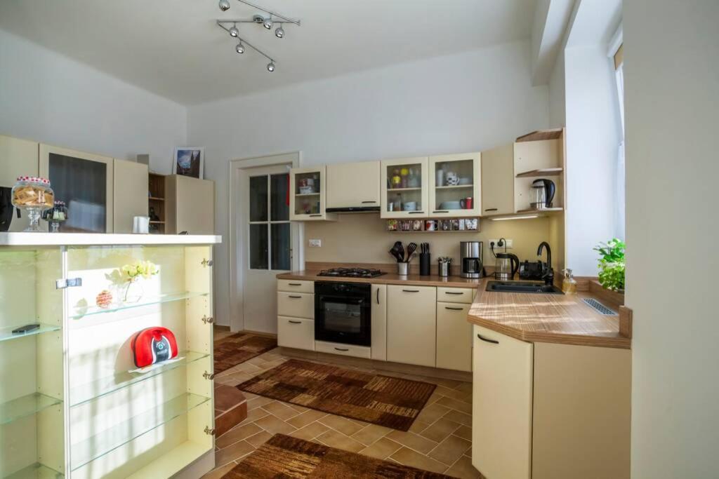 Luxury Air-Conditioned Family Apartment Spitalska Old Town ブラチスラヴァ エクステリア 写真