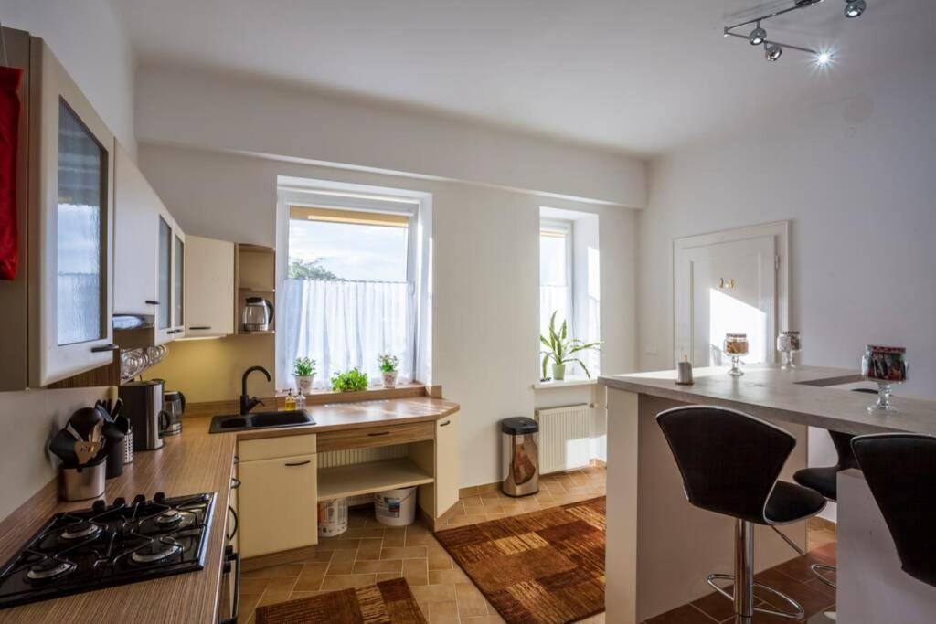 Luxury Air-Conditioned Family Apartment Spitalska Old Town ブラチスラヴァ エクステリア 写真